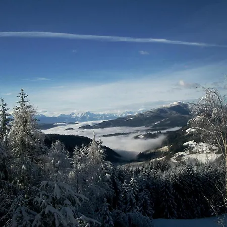 公寓 Almhaus Tschamutsch Niederwinklern