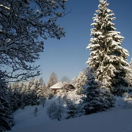 Almhaus Tschamutsch * Niederwinklern