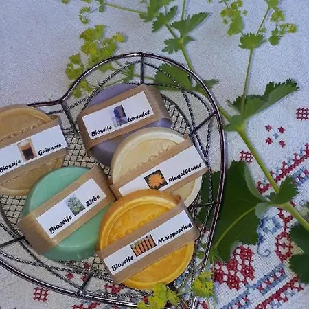 公寓 Almhaus Tschamutsch *