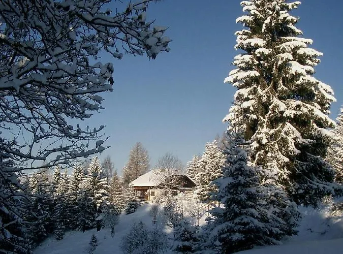 Almhaus Tschamutsch * Niederwinklern